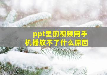 ppt里的视频用手机播放不了什么原因