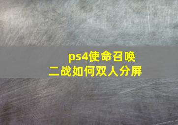 ps4使命召唤二战如何双人分屏