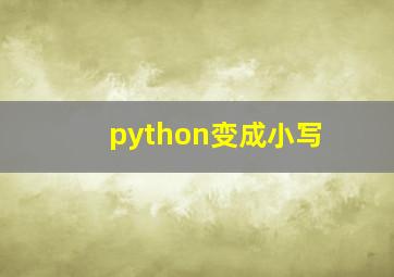 python变成小写