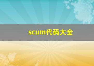 scum代码大全