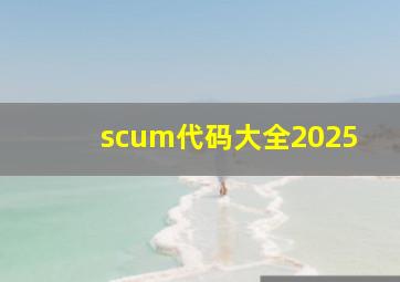 scum代码大全2025