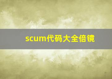 scum代码大全倍镜