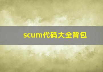 scum代码大全背包