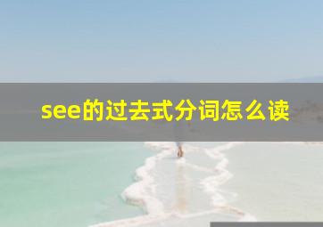 see的过去式分词怎么读