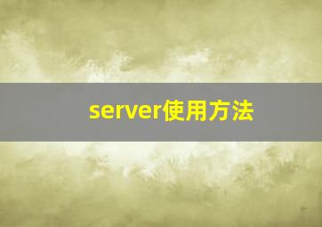 server使用方法