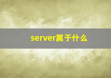 server属于什么