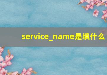 service_name是填什么