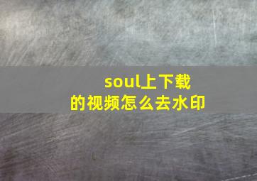 soul上下载的视频怎么去水印