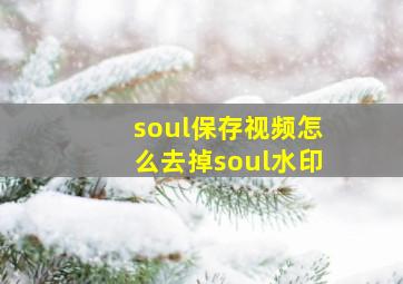 soul保存视频怎么去掉soul水印