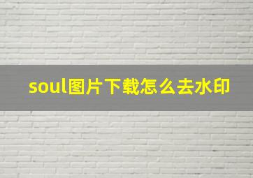 soul图片下载怎么去水印