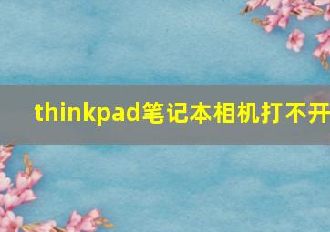 thinkpad笔记本相机打不开