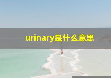 urinary是什么意思