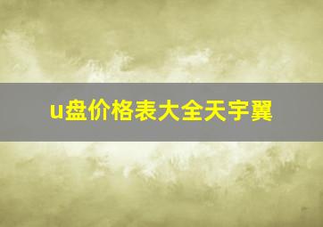 u盘价格表大全天宇翼