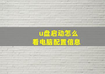 u盘启动怎么看电脑配置信息