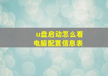 u盘启动怎么看电脑配置信息表