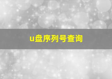 u盘序列号查询