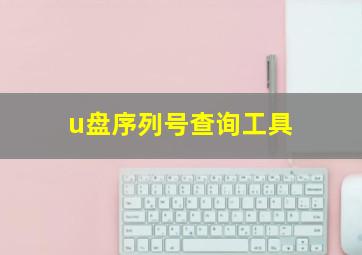 u盘序列号查询工具