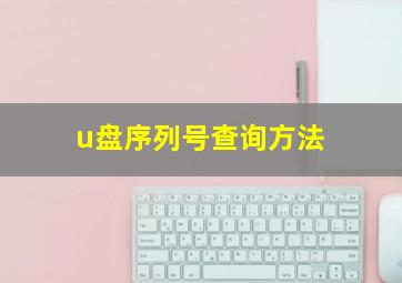 u盘序列号查询方法