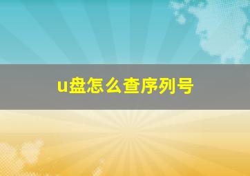 u盘怎么查序列号