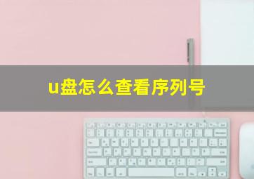 u盘怎么查看序列号