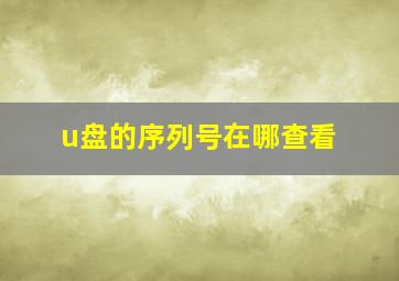 u盘的序列号在哪查看