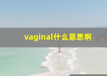 vaginal什么意思啊