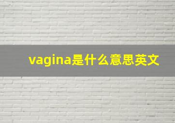 vagina是什么意思英文