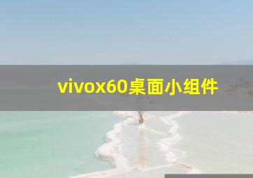 vivox60桌面小组件