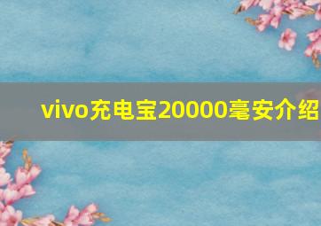 vivo充电宝20000毫安介绍