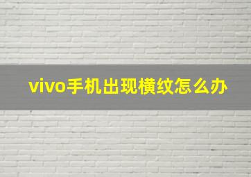 vivo手机出现横纹怎么办