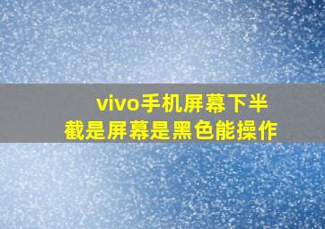 vivo手机屏幕下半截是屏幕是黑色能操作