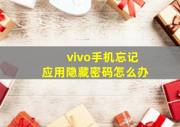 vivo手机忘记应用隐藏密码怎么办