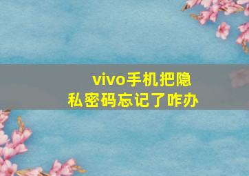 vivo手机把隐私密码忘记了咋办