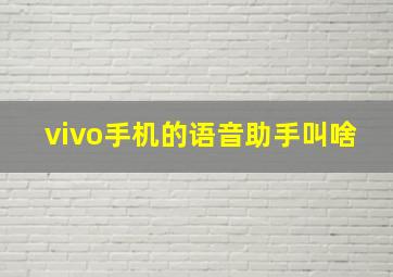 vivo手机的语音助手叫啥