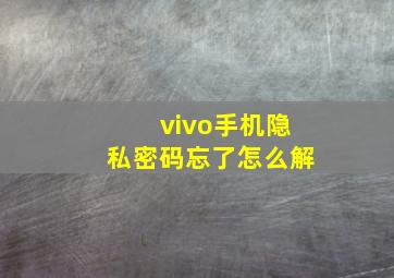 vivo手机隐私密码忘了怎么解