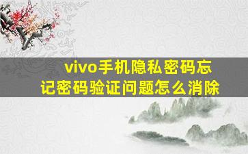 vivo手机隐私密码忘记密码验证问题怎么消除