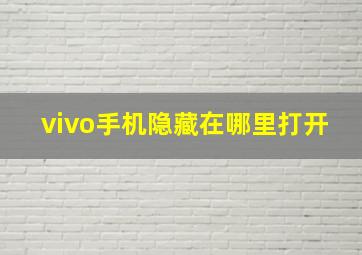 vivo手机隐藏在哪里打开