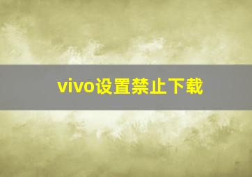 vivo设置禁止下载