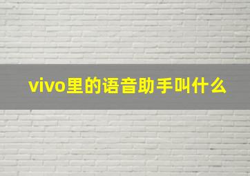 vivo里的语音助手叫什么