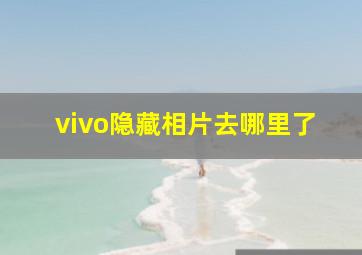 vivo隐藏相片去哪里了