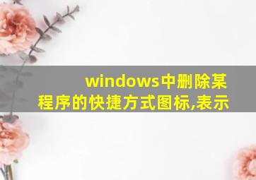 windows中删除某程序的快捷方式图标,表示