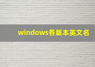 windows各版本英文名