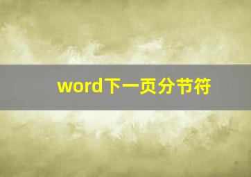 word下一页分节符