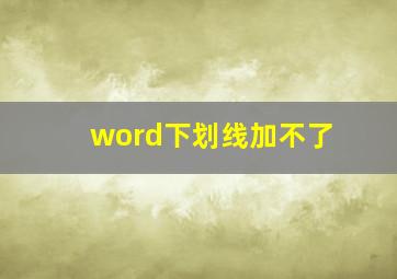 word下划线加不了