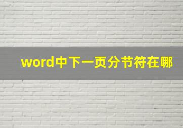 word中下一页分节符在哪