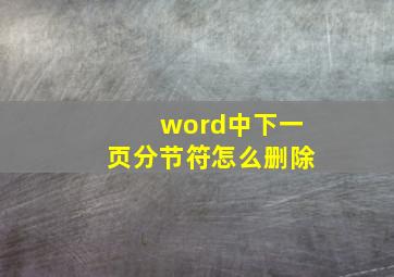 word中下一页分节符怎么删除