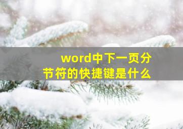 word中下一页分节符的快捷键是什么