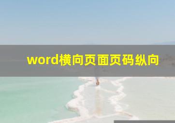 word横向页面页码纵向