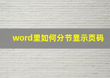 word里如何分节显示页码