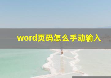 word页码怎么手动输入